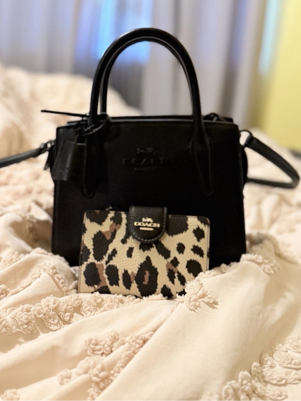 Coach Black Small Andrea Caryall with Leopard-Print Wallet